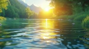 Clear stream with sunlit water — healthy watershed
