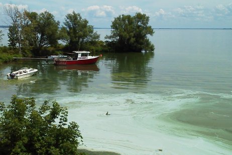 Oneida Lake with boats amid algal bloom