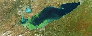 Satellite view of Lake Erie algal bloom