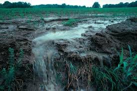 Agricultural field erosion and nutrient runoff