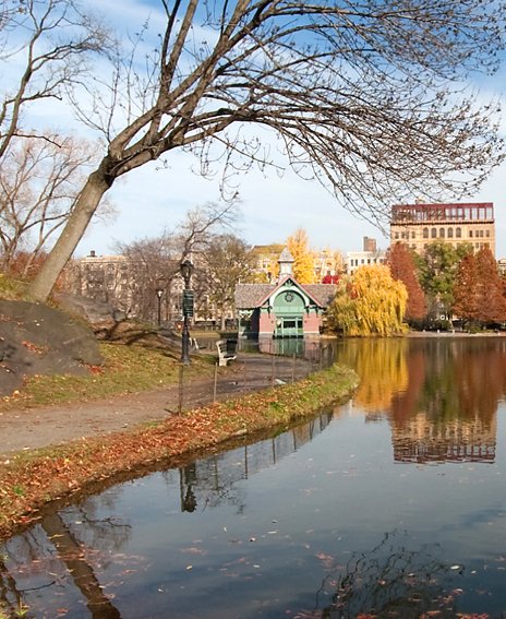 Harlem Meer clear water