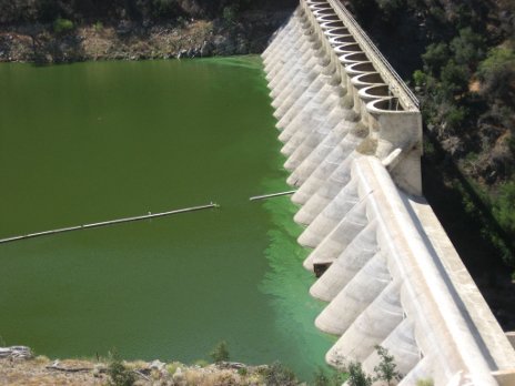 Lake Hodges dam with green algal bloom
